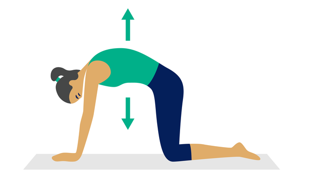 Illustration: Yoga Katze-Kuh-Position.